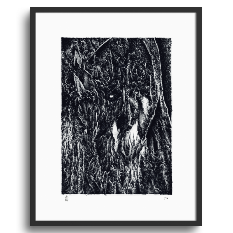 Veil- Tyler Durban (Limited Edition, Giclee Prints)